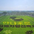 비거농장 이미지