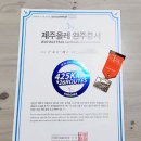타임PC | <그놈의 스탬프 13>제주 올레 스탬프 투어 - 소요 기간 및 경비 정리