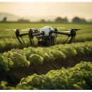 포커스행정사사무소 이미지