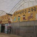 요기프룻 이미지