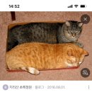 12월 11~ 14일 🍁