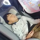 샘말농장 | 강화도 자연체험농장에서 승마,고구마캐기 체험하고 왔어요.