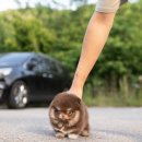 스테이 모량 이미지