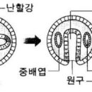 벌거벗은 임금님, 그리고 12연기설 이미지