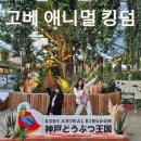 닥터존. 족욕 | 고베 아이들과 가볼만한곳 고베 애니멀 킹덤