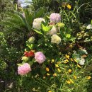 쉬엉갑서예 이미지