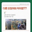 오성푸드 주식회사 이미지