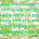 뱃살도둑샐러드월배점 이미지