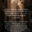 온타임 이미지