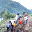 임실농부 이미지