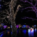 여수 밤바다 이미지