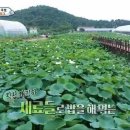 건후농장 이미지