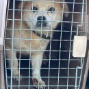 기동리 마을회관 이미지