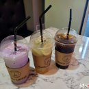 타미띠에 이미지