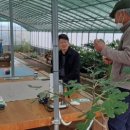 무화농장2 이미지