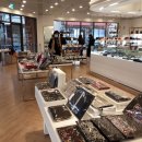 코메타엘엑스