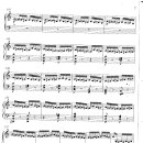 Rimsky Korsakov / Flight of the bumblebee2 이미지