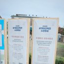 사뿐사뿐 | [2023 힐링폴링]#7 수원화성, 기억을 걷다 - 사뿐사뿐 후기 &lt;세계유산축전&gt;