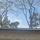 분수대 | 아이랑 덕수궁 궁궐달빛동행 후기 (돌담길·분수대·청계천 야경까지 완벽코스)