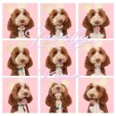 스튜디오215 이미지