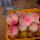 제17회 순천명품 월등 복숭아 체험행사 | 순천 월등복숭아 맛집 신선함 가득! 월용과수원집