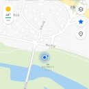 마령면 이팝나무길 | - 사슴히의 여행: 진천 이팝나무길 진짜 후기(2026 실시간 개화상황, 주차 꿀팁, 신정교 산책길, 청보리...