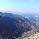 고산자연휴양림 이미지