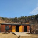 45 | 용인애견카페 추천 프라이빗 대관 가능한 테일45 재방문 후기