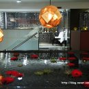 베나레스(Benares) 이미지