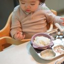 차황과일 | e경남몰 유기농쌀, 아기밥으로 산앤청메뚜기쌀 먹여요