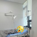 메디슨167 이미지