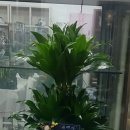 조은 당구장 이미지