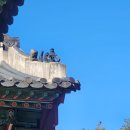 능묘지 | 서울데이트 코스 선정릉 단풍놀이 산책 후기