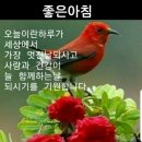 토요일 이미지