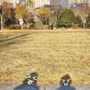 가음정로-2 네이버블로그
