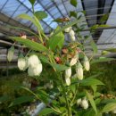 경승농장 이미지