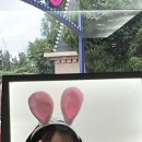 유성회식당 이미지
