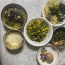 힐링엔젤스우 | 진주산후도우미 엔젤스맘 후기 시댁살이 둘째아들맘 찐찐 후기 입니다