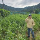 삼우농장 이미지