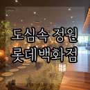 소담원 | 성심당 빙수 없어서 찾아간 롯데백화점 9층 단호박빙수 후기. 소담원, 향옥찻집 내돈내산
