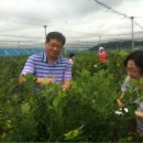 장명농장 이미지