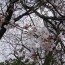 장명1호공원 이미지