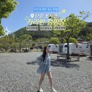 포시즌 | 단양 자연 속에서 쉬기 좋은 카라반 숙소 단양 포시즌카라반 캠핑장 실제 숙박 후기