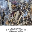 건강약초 이미지