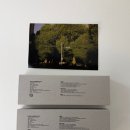 인센스 | 우고(wugo) 고양이 천연 인센스 스틱 후기