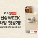 썬샤인디자인 이미지