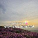 복암 | 경남 합천 가볼만한곳 황매산 철쭉축제 등산 후기
