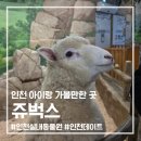 쥬벅스 | 인천 아이와 함께 가볼만한 곳 실내동물원 "쥬벅스" 후기