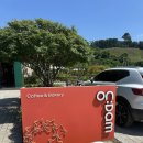 카페온담 | [천안 카페 추천] 탁 트인 감성 공간, 카페온담 솔직 후기☕️