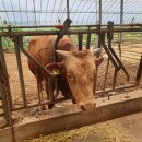 대산농장 이미지